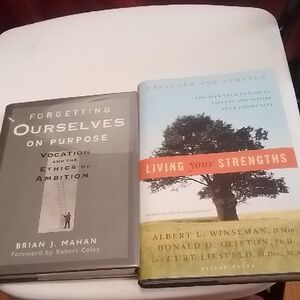 Living Your Strengths Book by - Gray and Orange